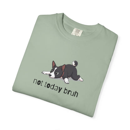 Basenji Not Today Bruh T-Shirt