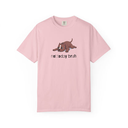 Pitbull Not Today Bruh T-Shirt