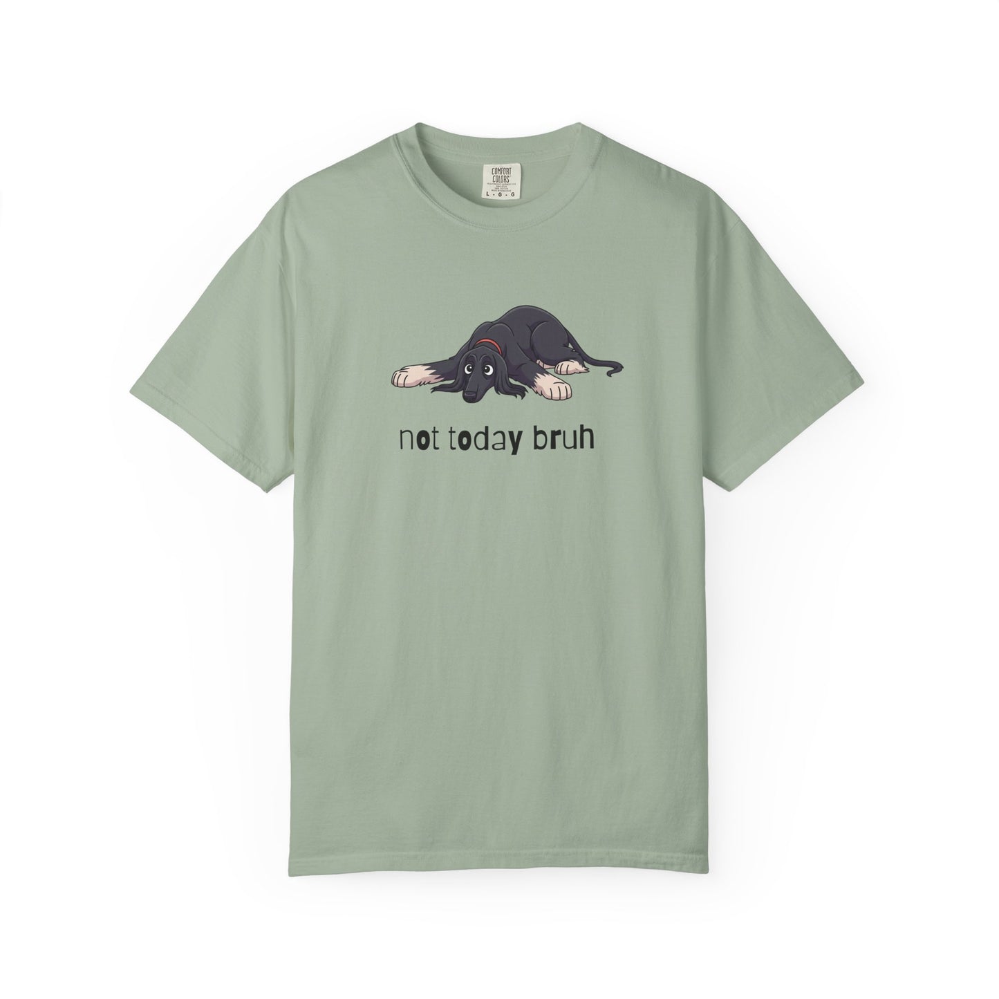 Afghan Hound Not Today Bruh T-Shirt
