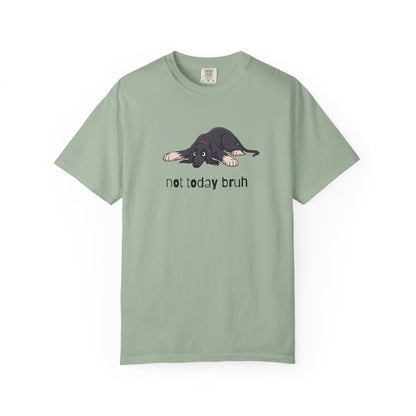 Afghan Hound Not Today Bruh T-Shirt