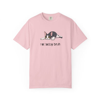 Devon Rex Not Today Bruh T-Shirt
