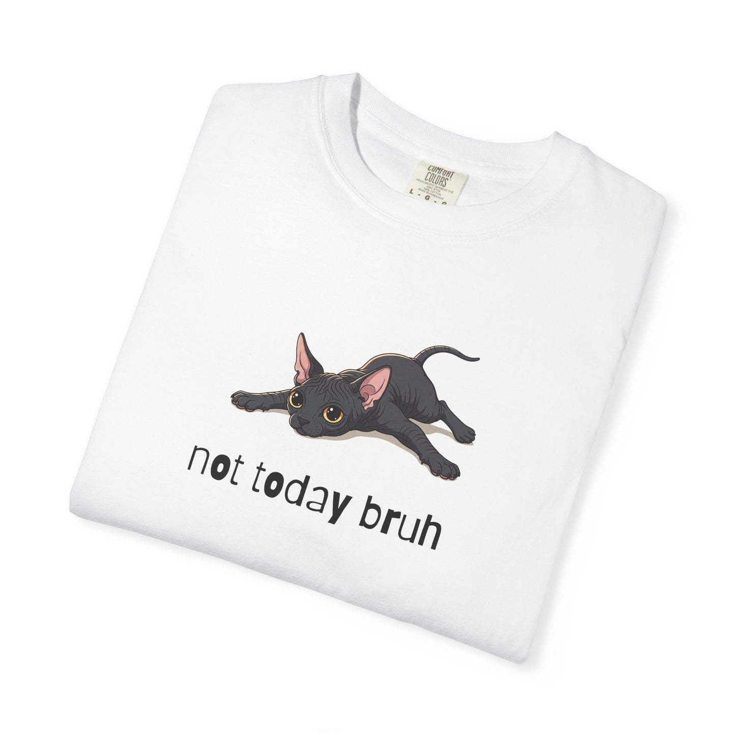 Sphynx Not Today Bruh T-Shirt