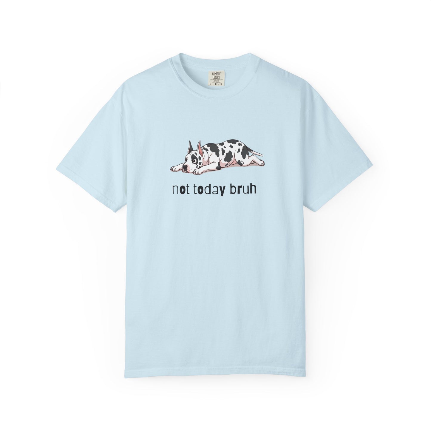 Great Dane Not Today Bruh T-Shirt