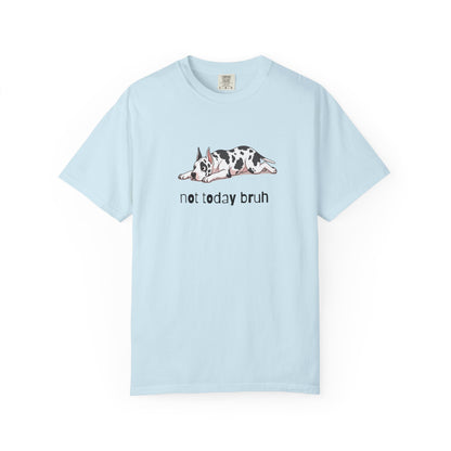 Great Dane Not Today Bruh T-Shirt