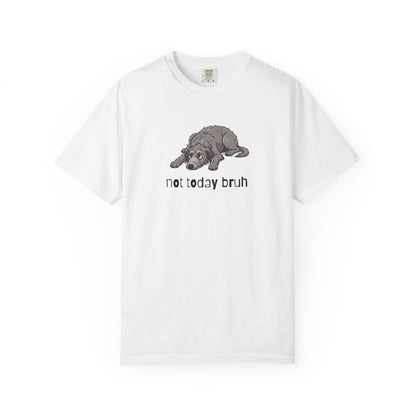 Scottish Deerhound Not Today Bruh T-Shirt