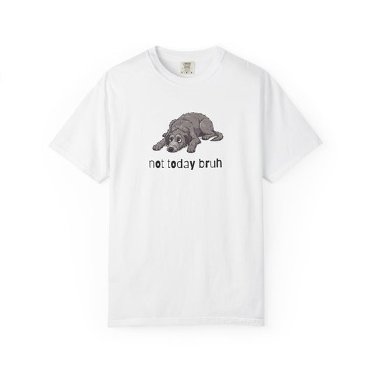 Scottish Deerhound Not Today Bruh T-Shirt