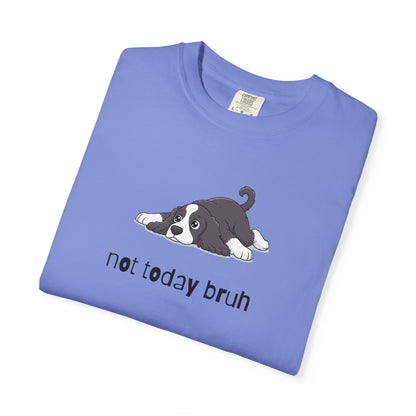 Spaniel Not Today Bruh T-Shirt
