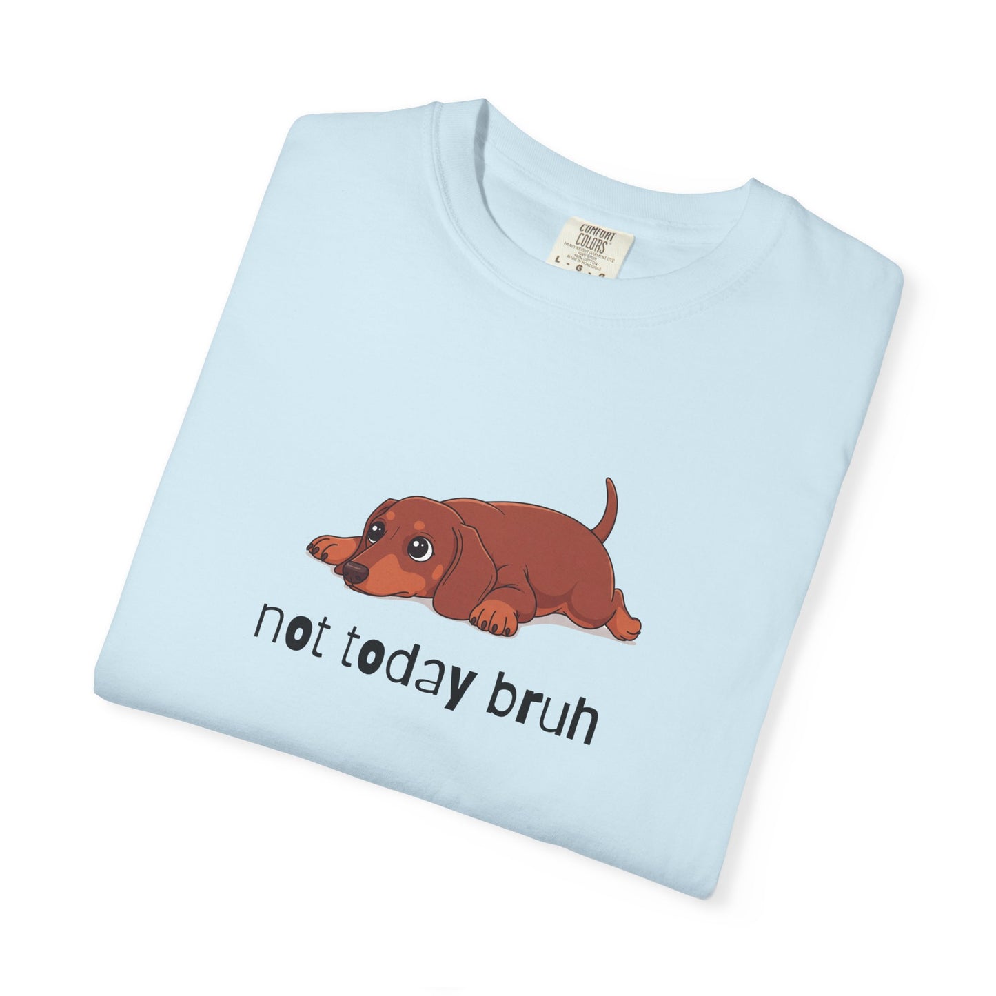 Dacshund Not Today Bruh T-Shirt