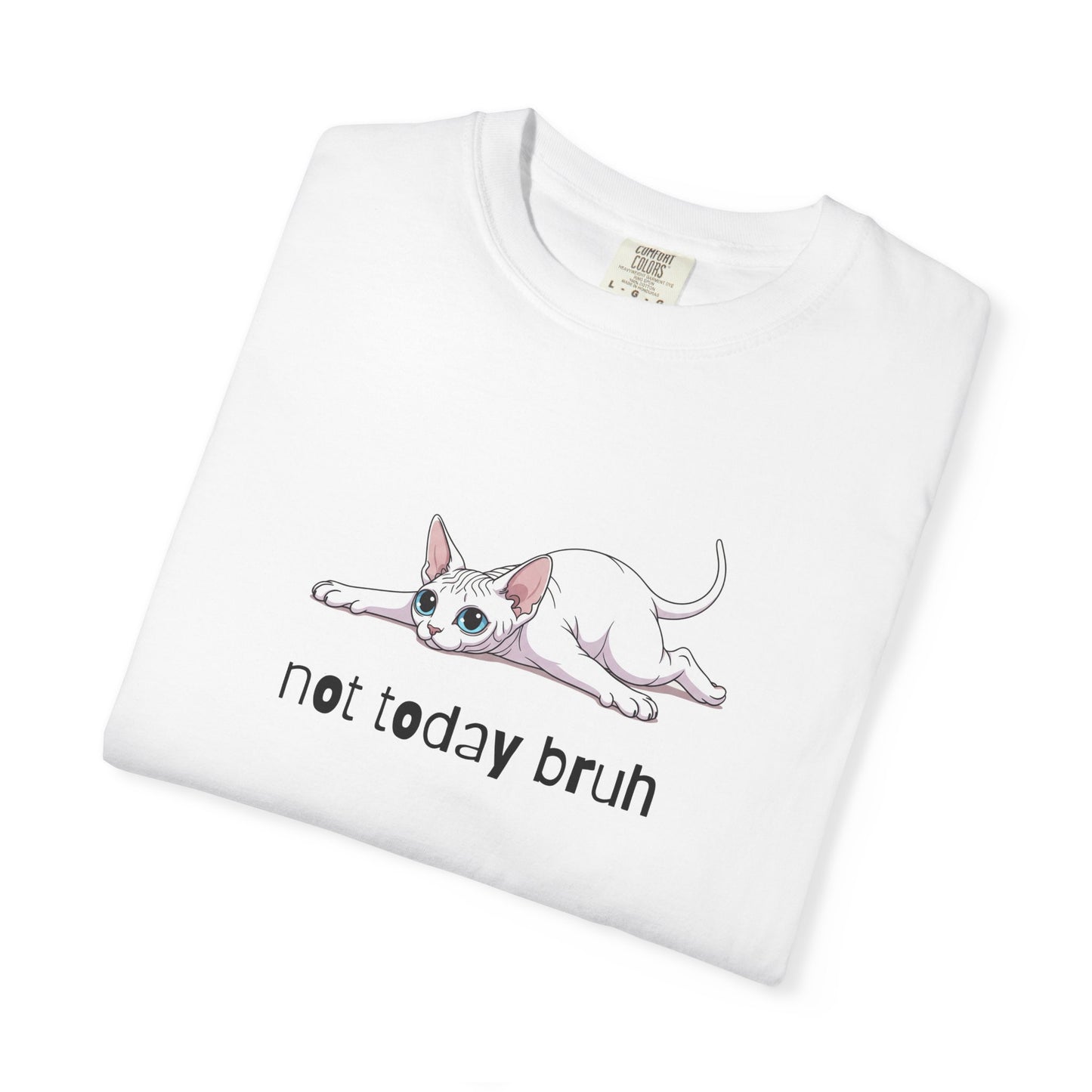 Sphynx Not Today Bruh T-Shirt