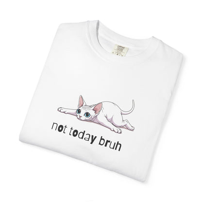 Sphynx Not Today Bruh T-Shirt