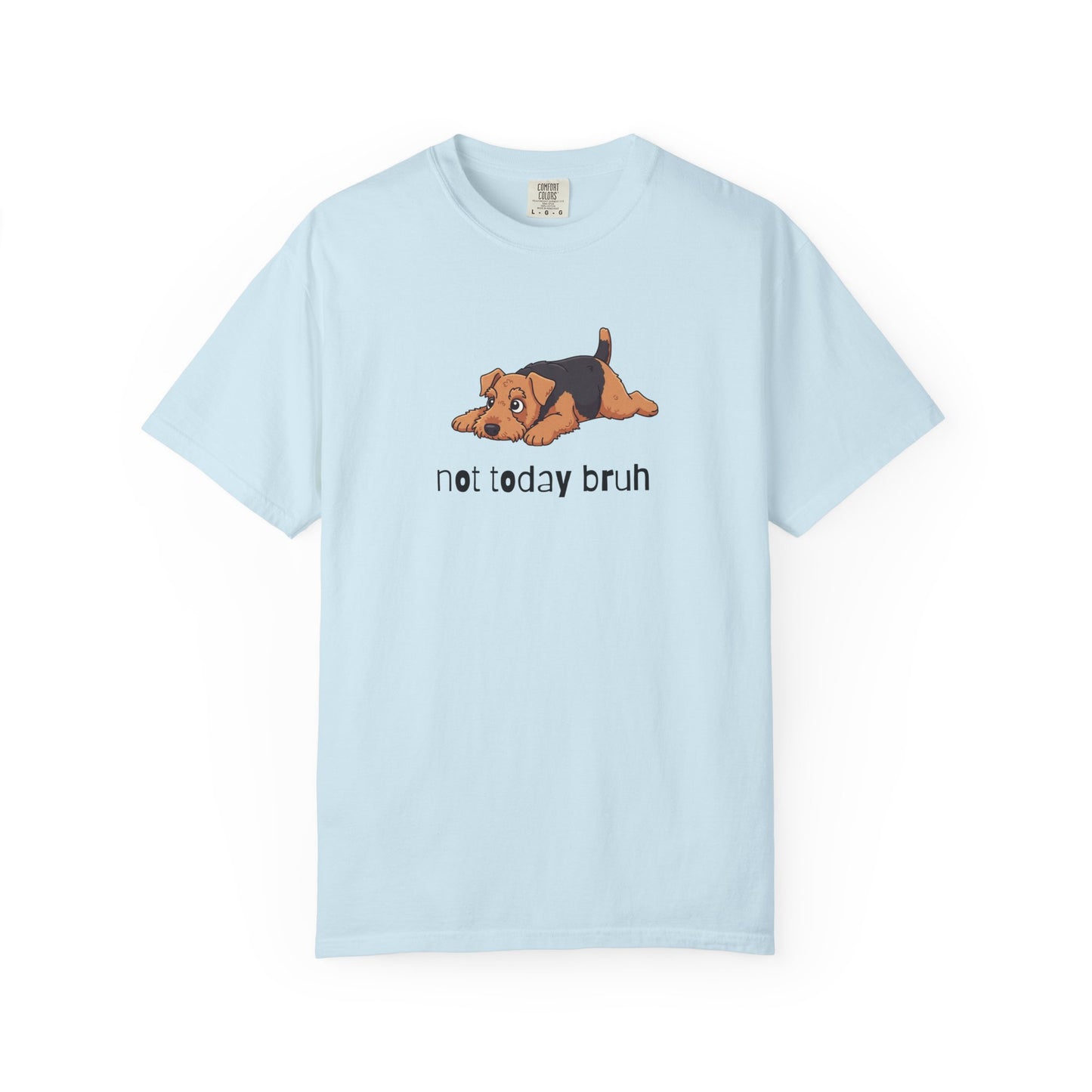 Welshie Not Today Bruh T-Shirt