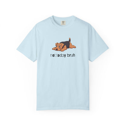 Welshie Not Today Bruh T-Shirt