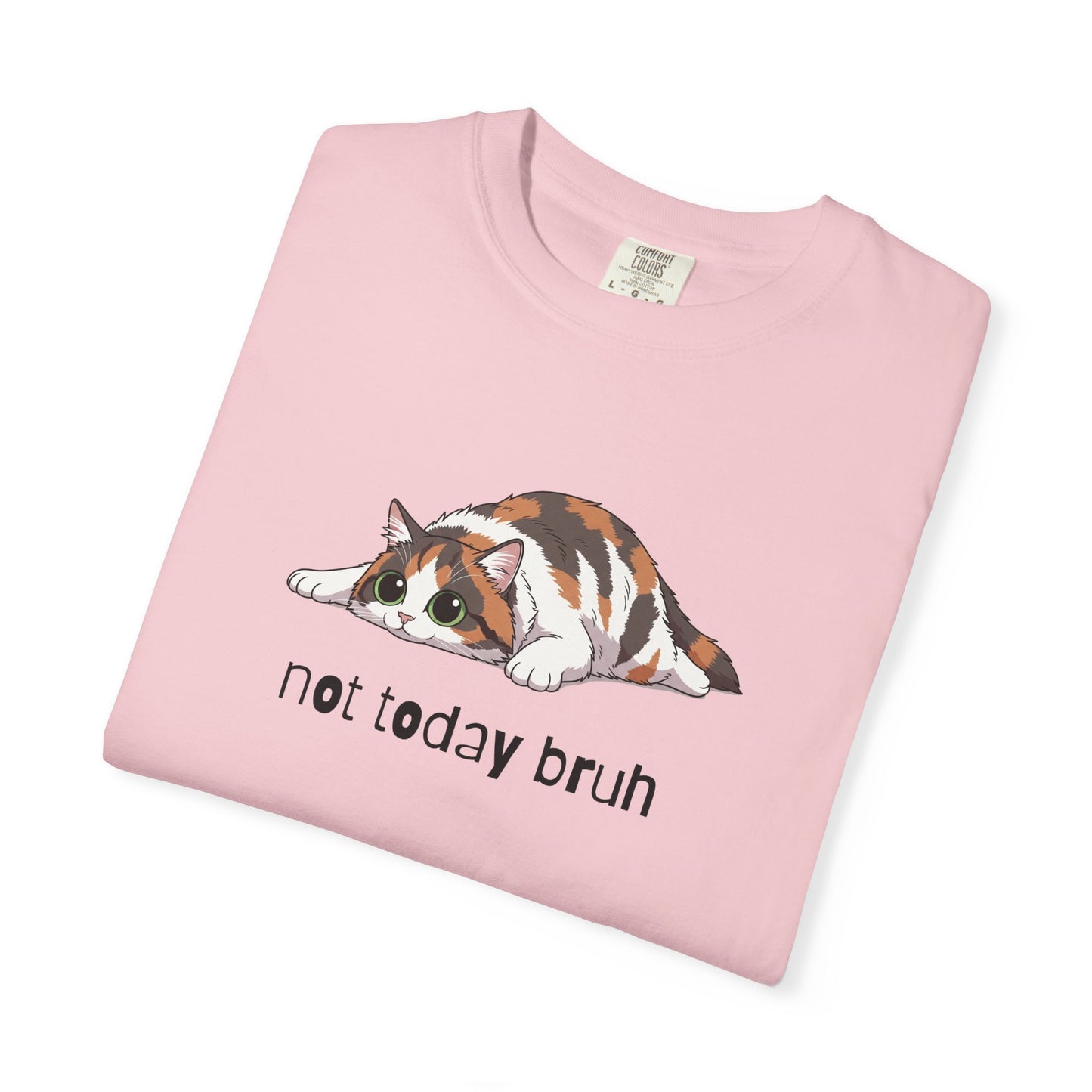 Long hair calico cat Not Today Bruh T-Shirt