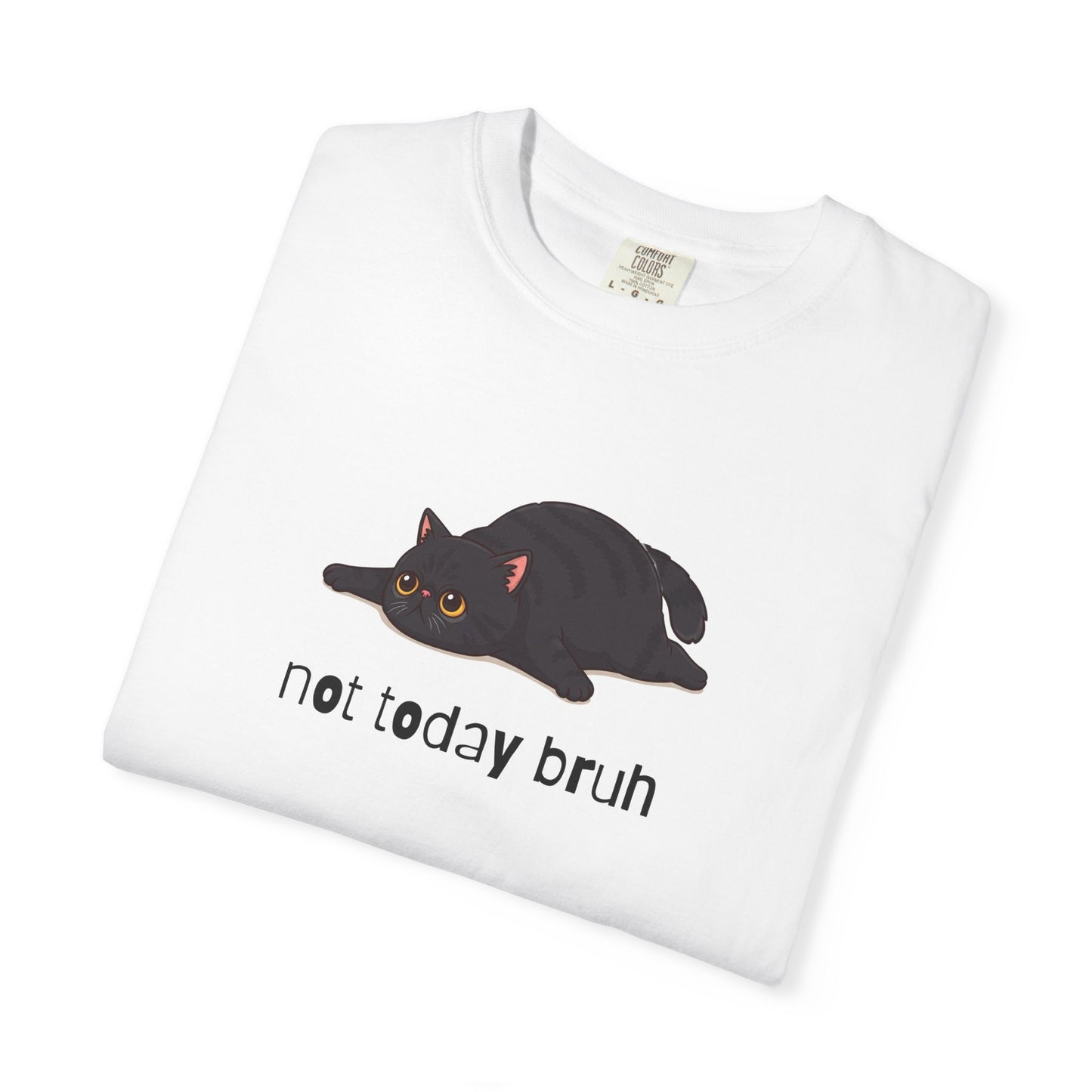 Exotic Shorthair Not Today Bruh T-Shirt