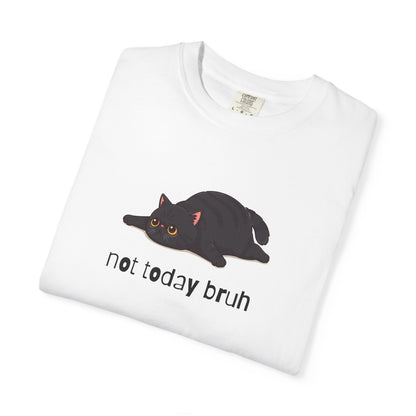 Exotic Shorthair Not Today Bruh T-Shirt