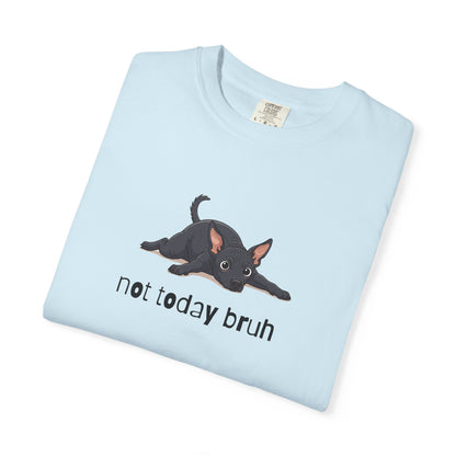 Hairless Dog Not Today Bruh T-Shirt