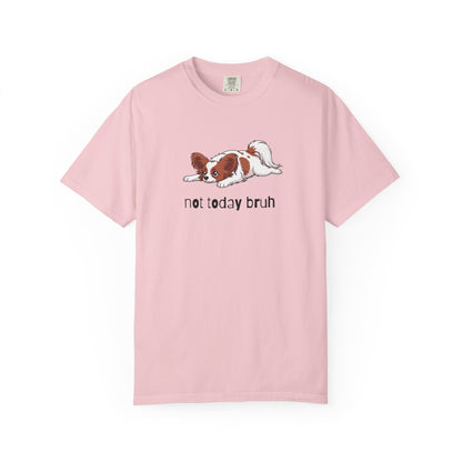 Papillon Not Today Bruh T-Shirt