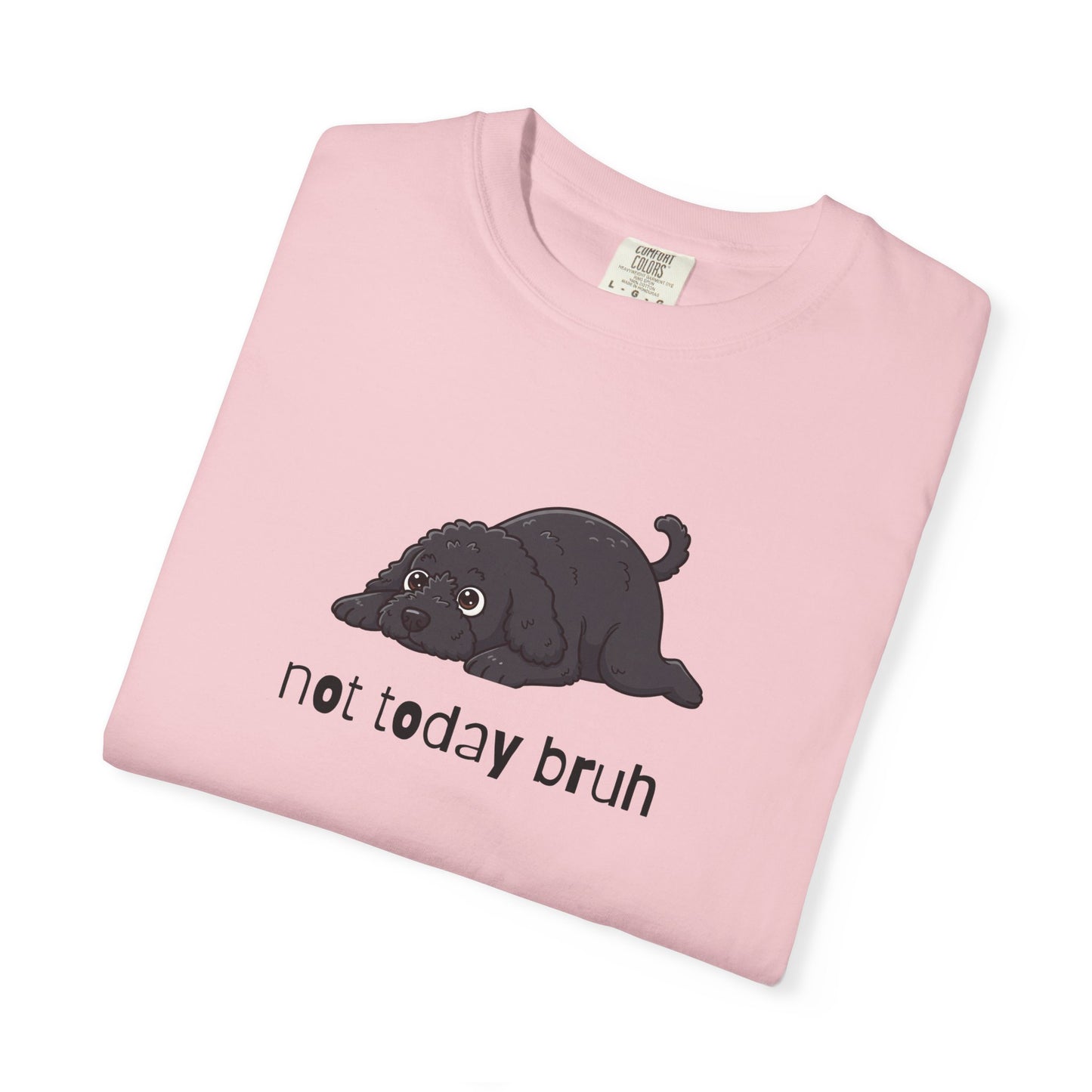 Portie Not Today Bruh T-Shirt