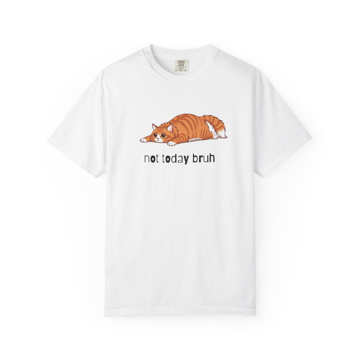 Long hair orange cat Not Today Bruh T-Shirt