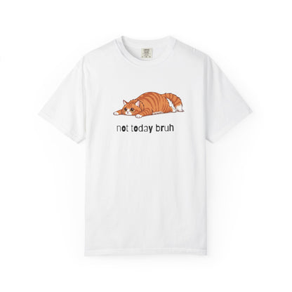 Long hair orange cat Not Today Bruh T-Shirt