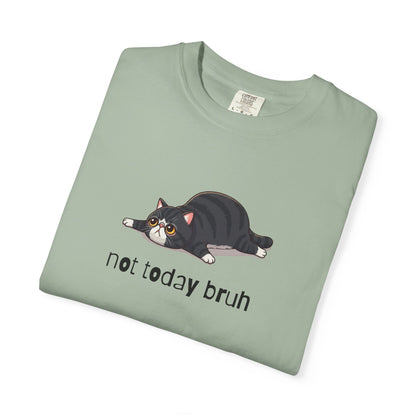 Exotic Shorthair Not Today Bruh T-Shirt