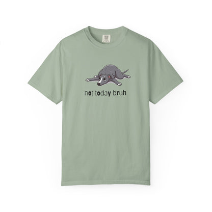 Greyhound Not Today Bruh T-Shirt