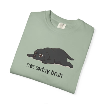 Labrador Not Today Bruh T-Shirt
