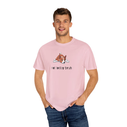 Basenji Not Today Bruh T-Shirt