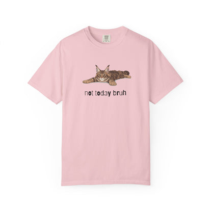 Maine Coon Not Today Bruh T-Shirt