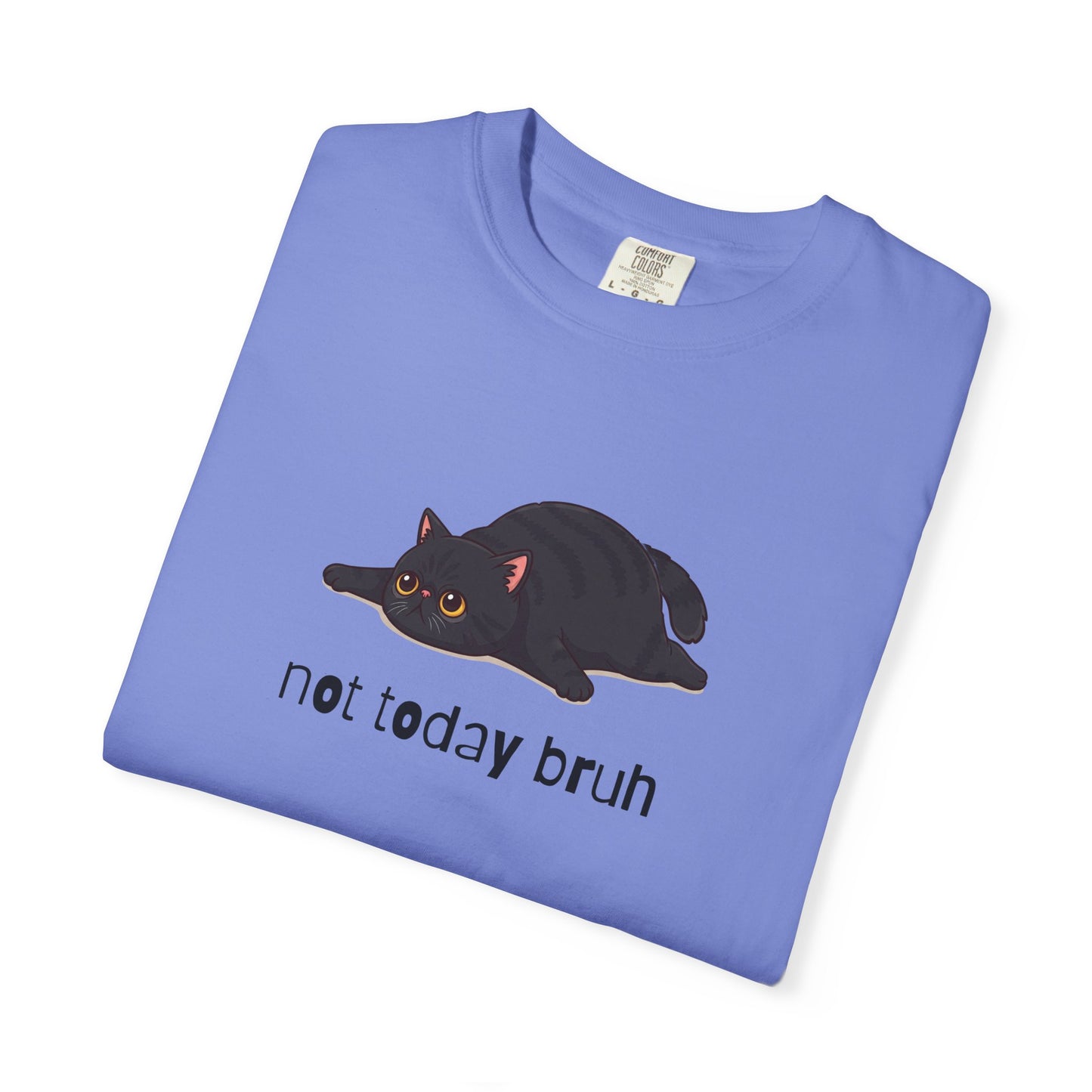 Exotic Shorthair Not Today Bruh T-Shirt