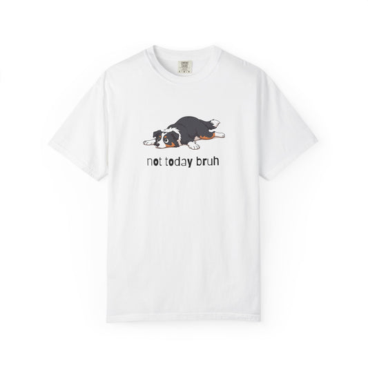 Border Collie Not Today Bruh T-Shirt