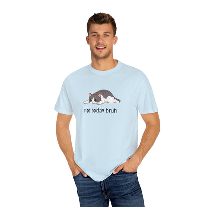 Short hair bi-color gray cat Not Today Bruh T-Shirt