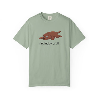 Labrador Not Today Bruh T-Shirt
