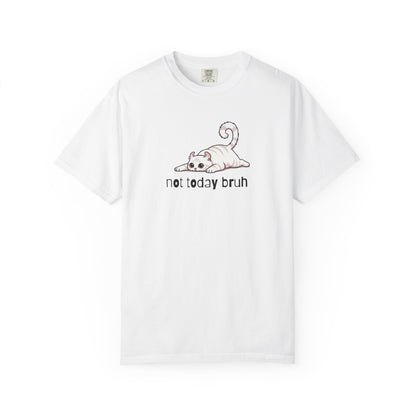 American Curl Not Today Bruh T-Shirt