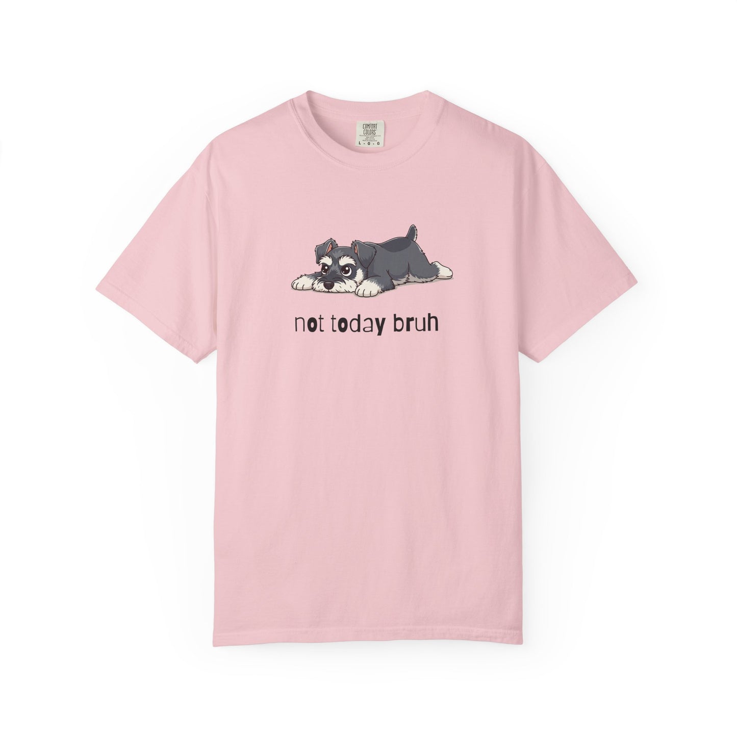 Schnauzer Not Today Bruh T-Shirt