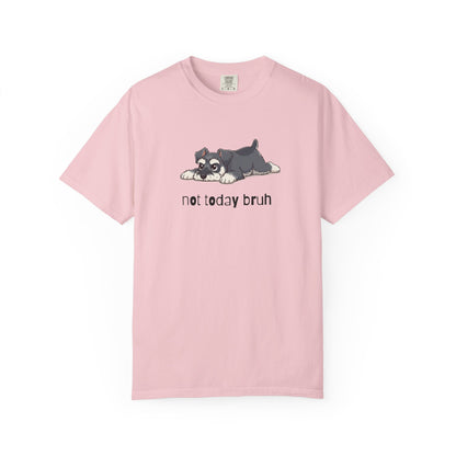 Schnauzer Not Today Bruh T-Shirt