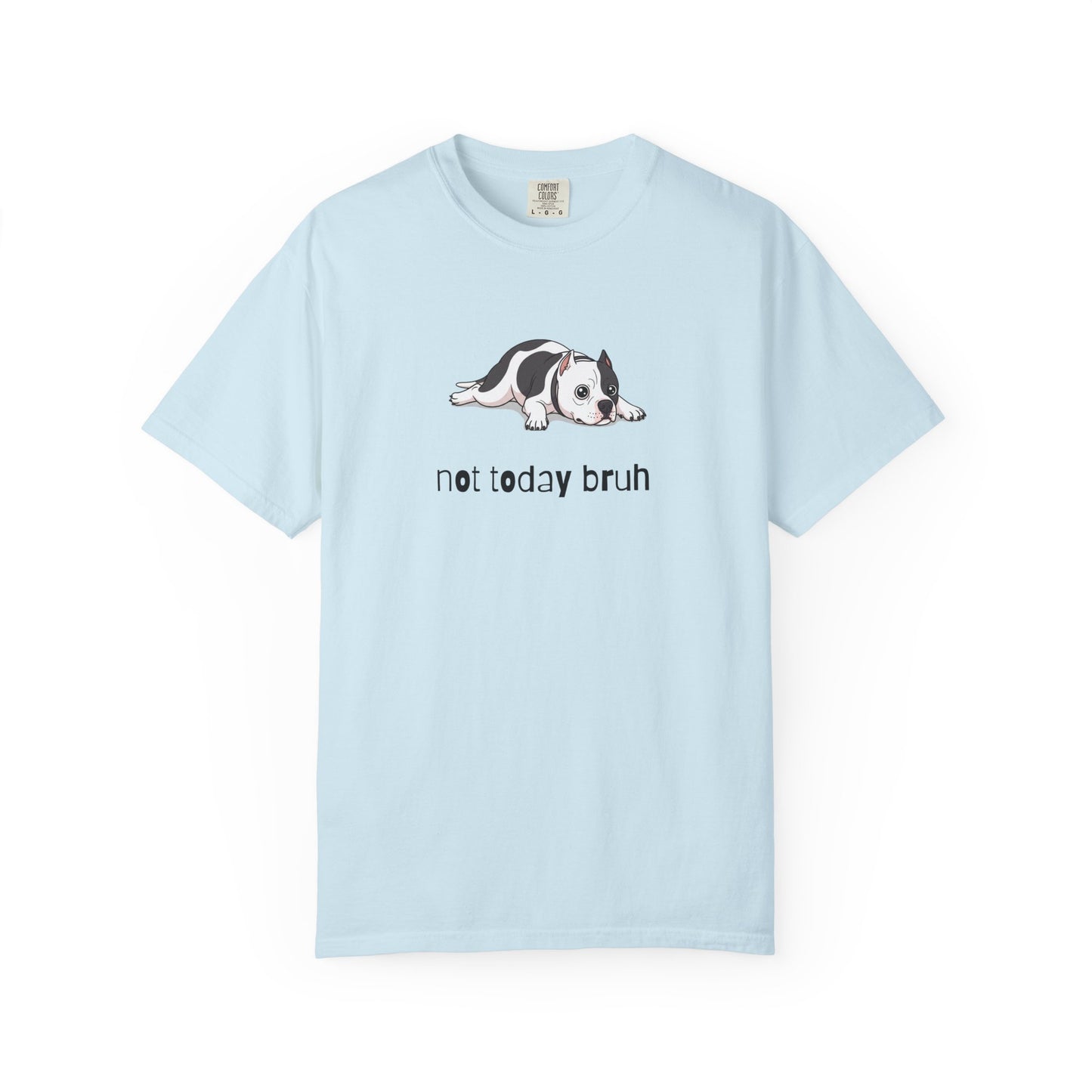 Pitbull Not Today Bruh T-Shirt
