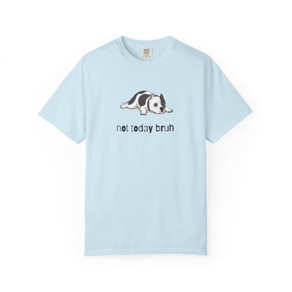 Pitbull Not Today Bruh T-Shirt