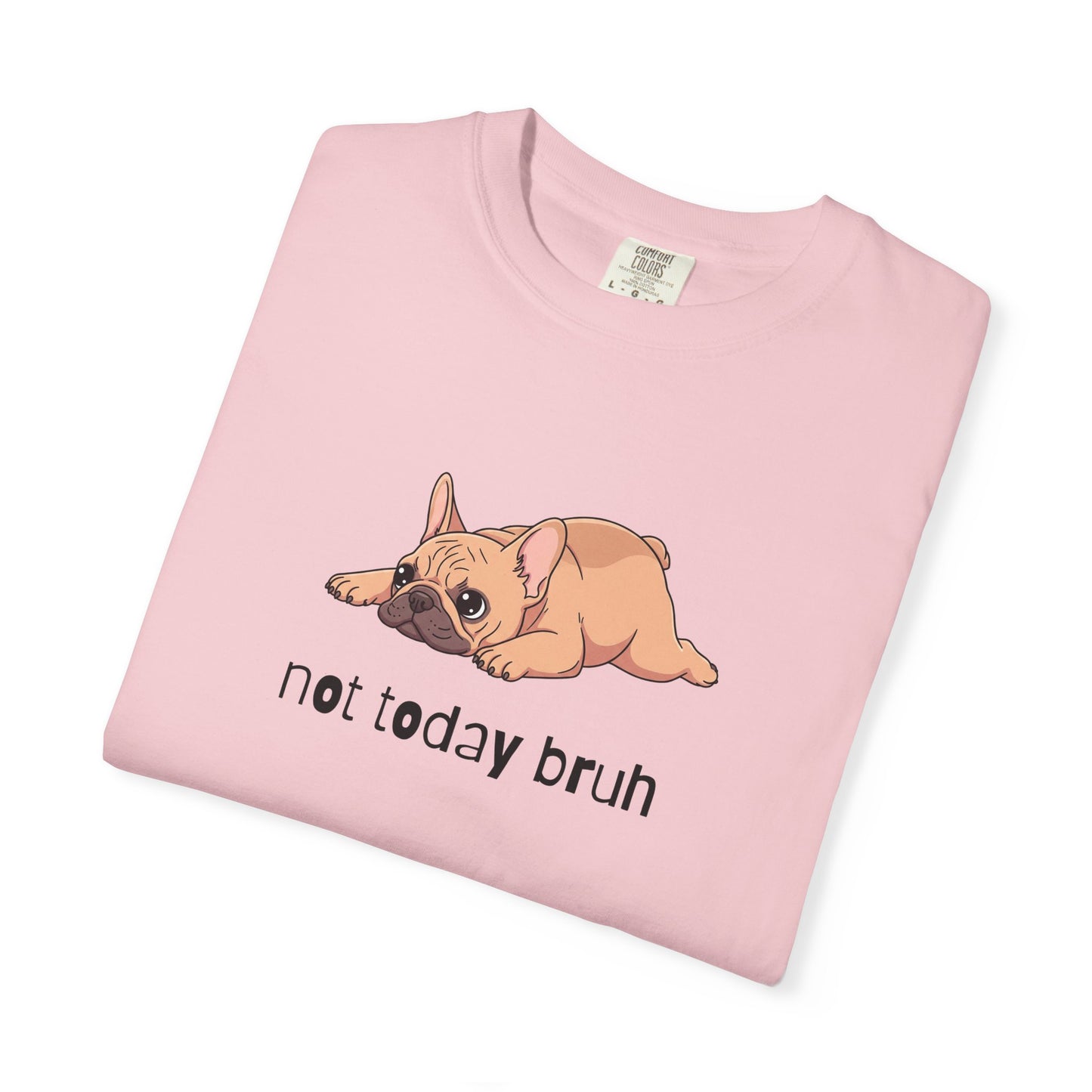 Frenchie Not Today Bruh T-Shirt