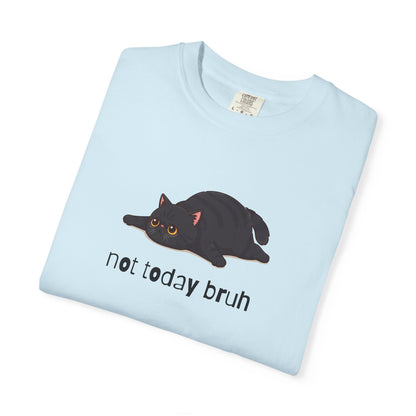 Exotic Shorthair Not Today Bruh T-Shirt