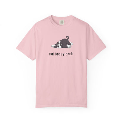 Spaniel Not Today Bruh T-Shirt