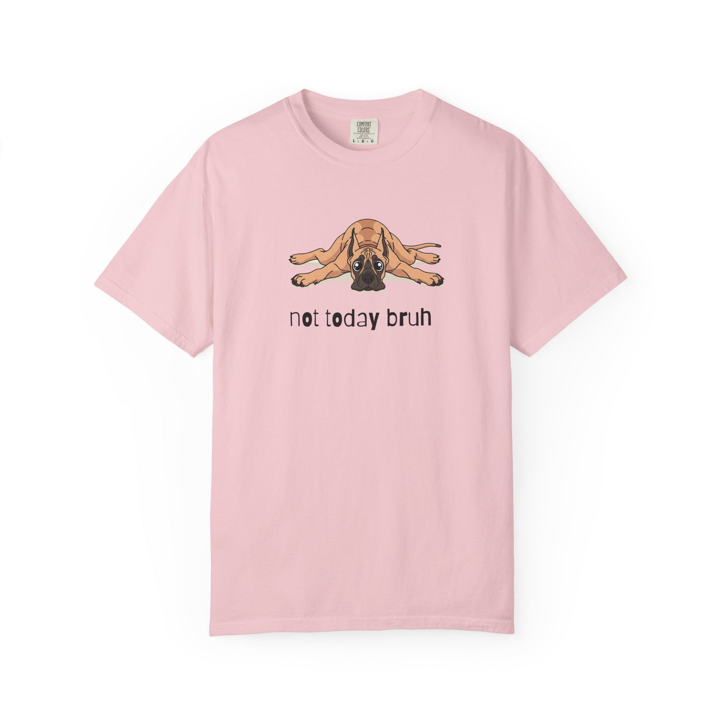 Great Dane Not Today Bruh T-Shirt