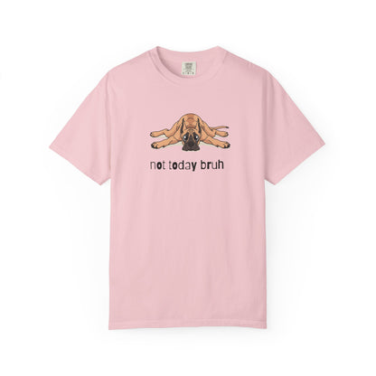 Great Dane Not Today Bruh T-Shirt