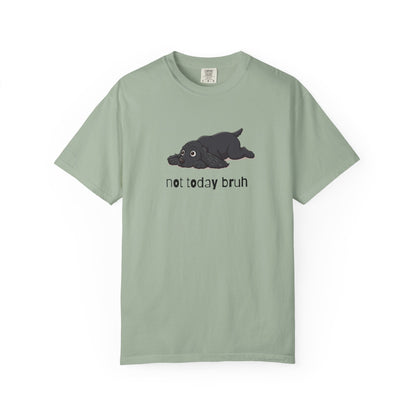 Spaniel Not Today Bruh T-Shirt