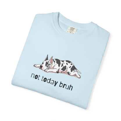 Great Dane Not Today Bruh T-Shirt