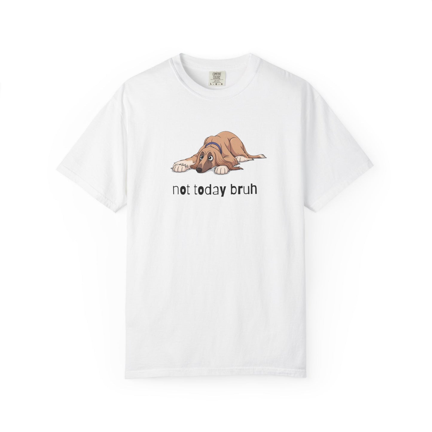 Afghan Hound Not Today Bruh T-Shirt