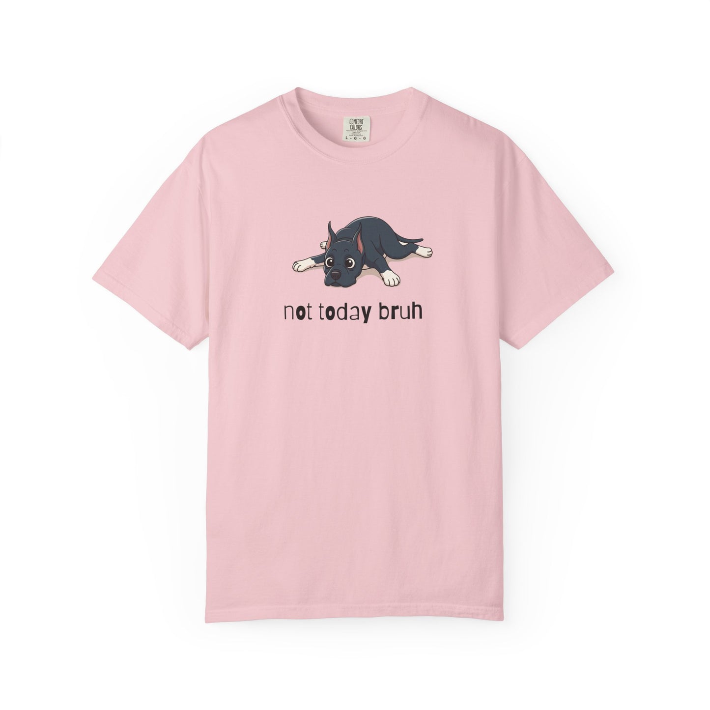 Great Dane Not Today Bruh T-Shirt