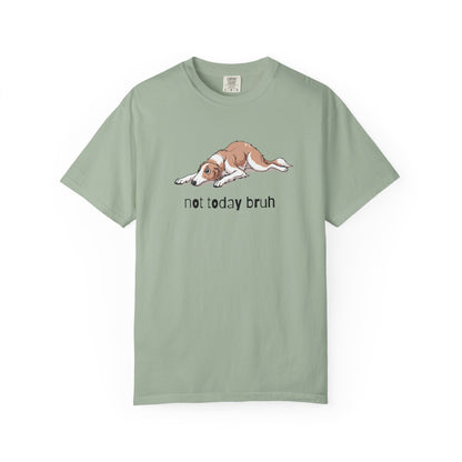 Borzoi Not Today Bruh T-Shirt