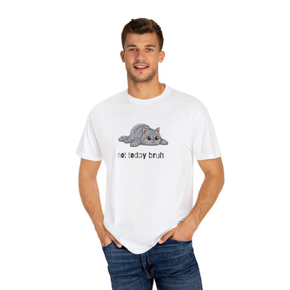 Persian Not Today Bruh T-Shirt