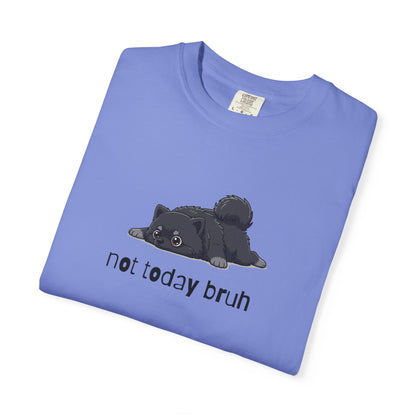 Pomeranian Not Today Bruh T-Shirt